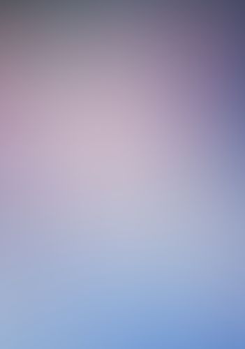 ゼロの使い魔 (14) 水都市の圣女