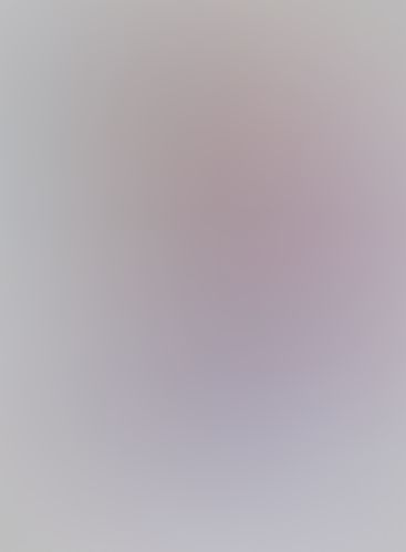 学戦都市アスタリスク (13) 群雄雲霞