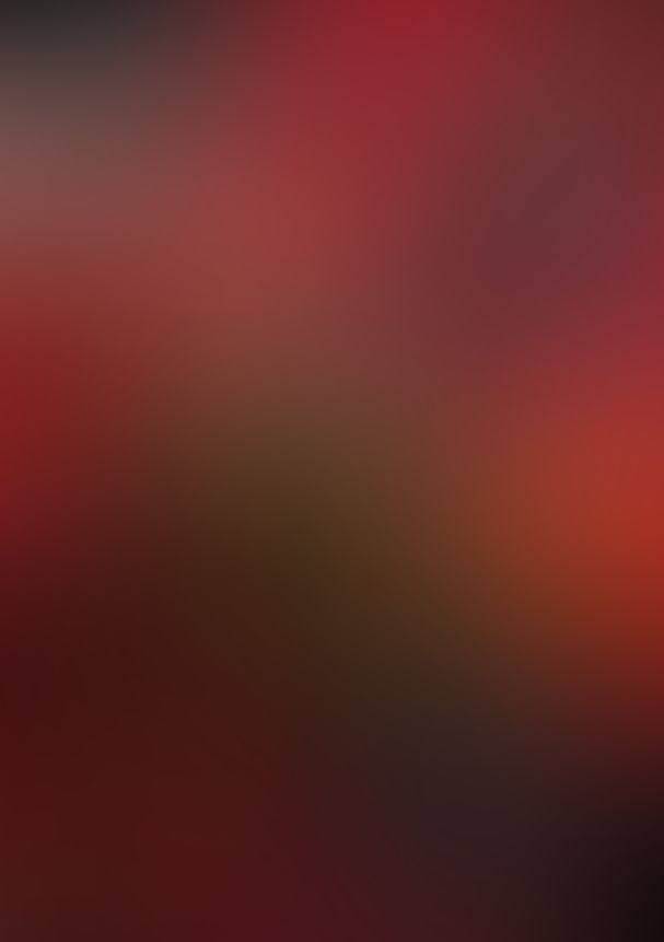 薔薇のマリア VIII.ただ祈り願え儚きさだめたちよ