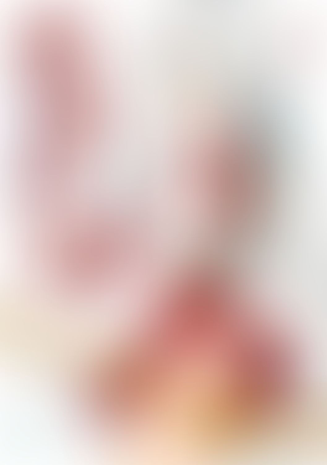 緋弾のアリア XL 尻尾の女