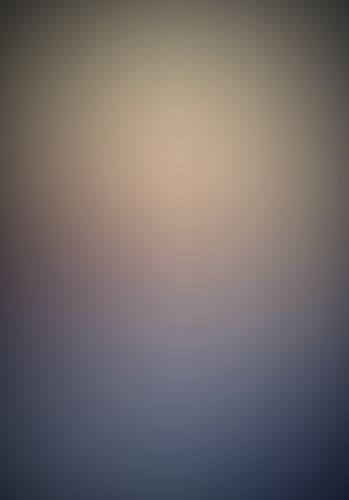 織田信奈の野望 (5)