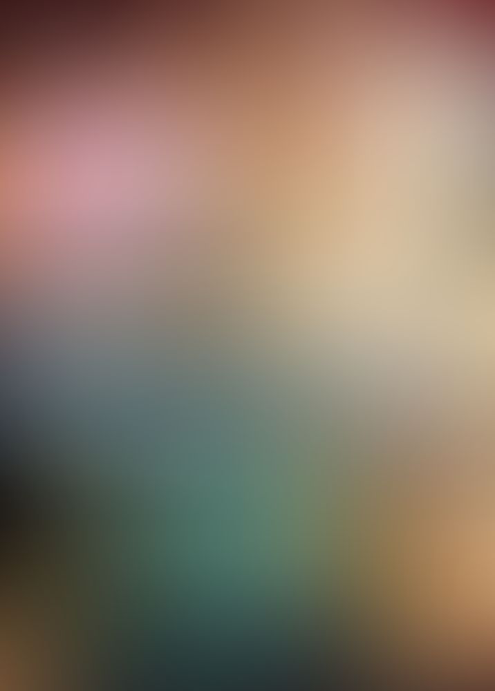 魔王の俺が奴隷エルフを嫁にしたんだが、どう愛でればいい? (12)