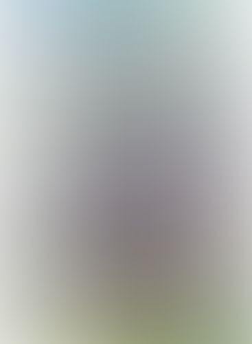 Re:ゼロから始める異世界生活 (5)