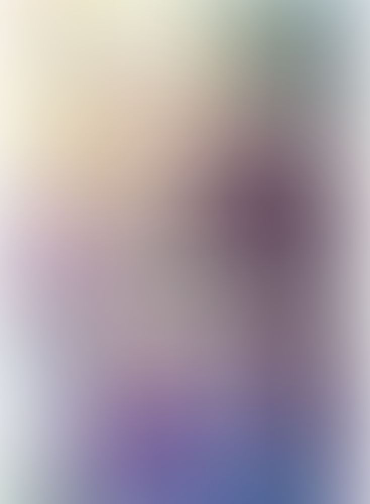 Re:ゼロから始める異世界生活 (14)