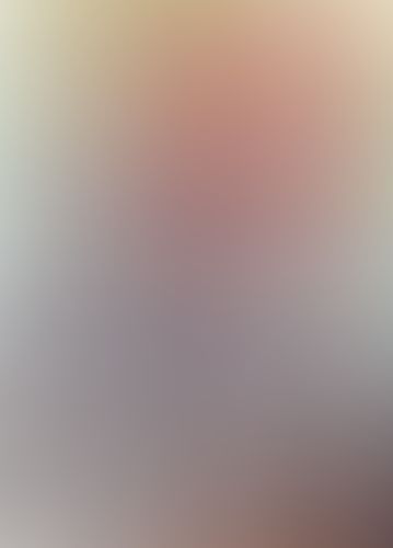 ゼロの使い魔 (05) トリスタニアの休日