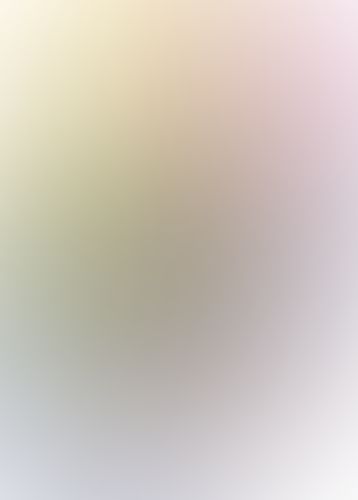 ゼロの使い魔 (20) 古深淵の聖地