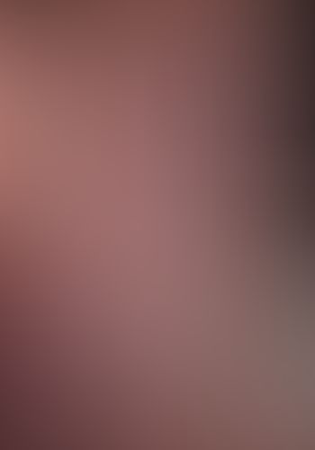 六花の勇者 5