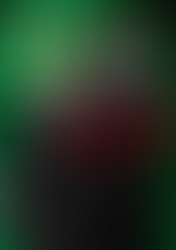 薔薇のマリア II.壊れそうなきみを胸に抱いて