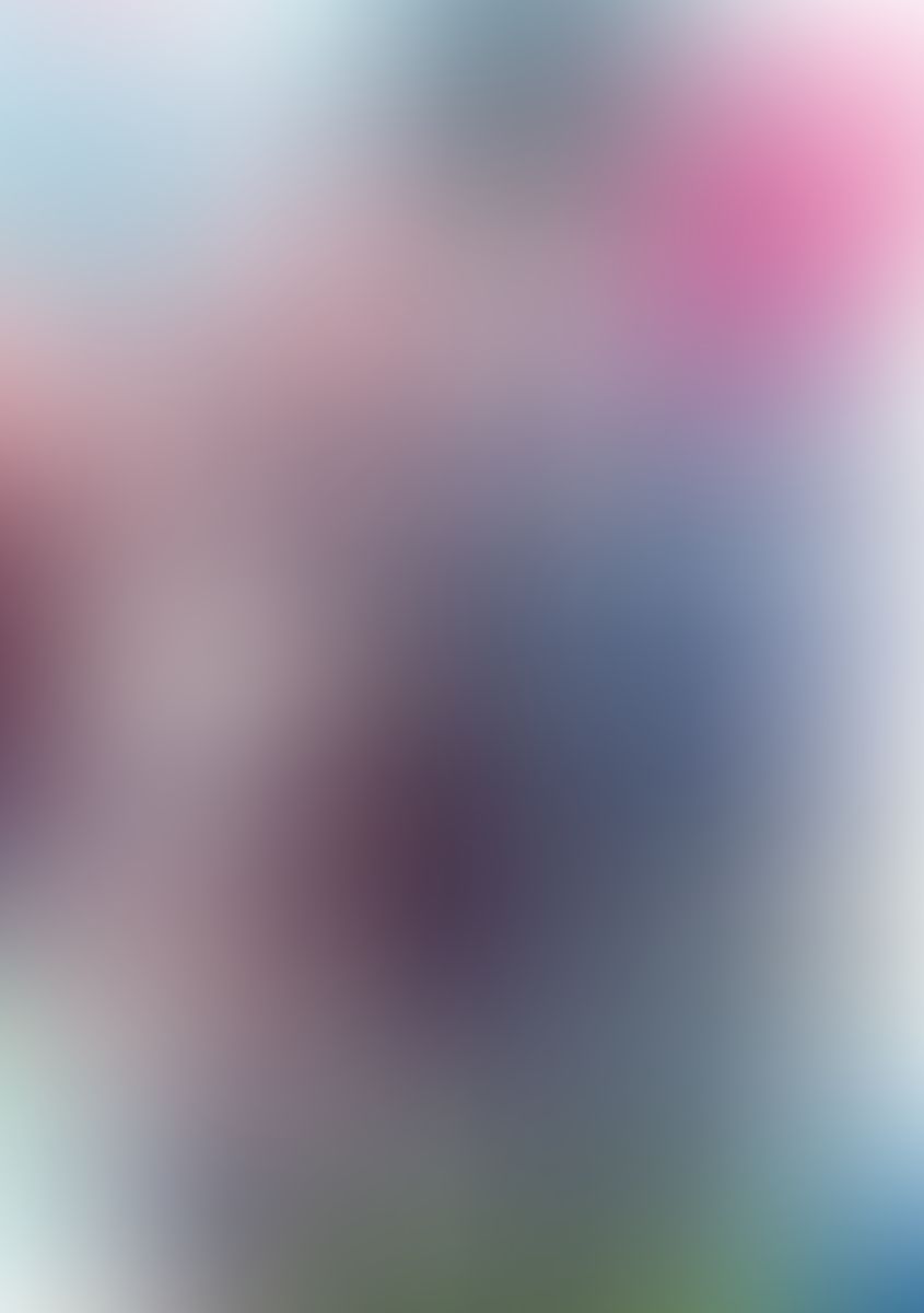 ゼロの使い魔 (22) ゼロの神話