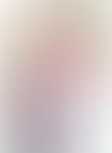 学戦都市アスタリスク (3) 鳳凰乱武