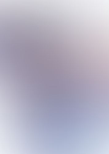 IS 〈インフィニット・ストラトス〉 (11)