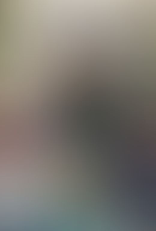 蜘蛛ですが、なにか?