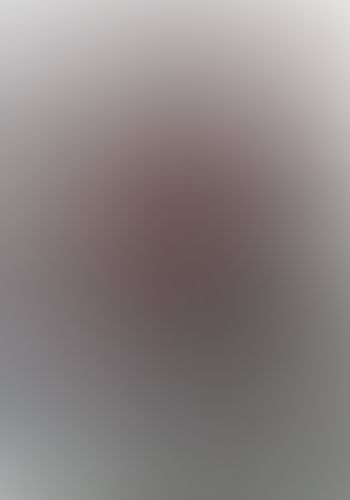 ブラック・ブレット (4) 復讐するは我にあり