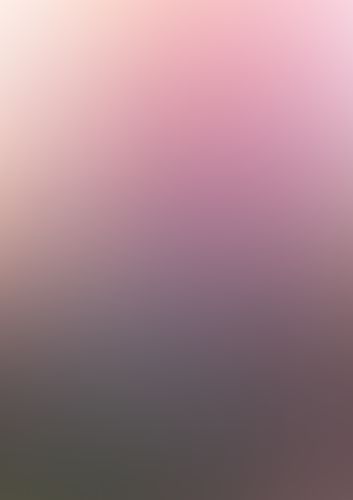 ゼロの使い魔 (09) 双月の舞踏会