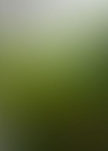 新世界より (上)