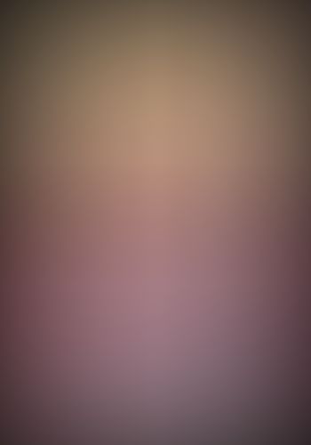 織田信奈の野望 (6)