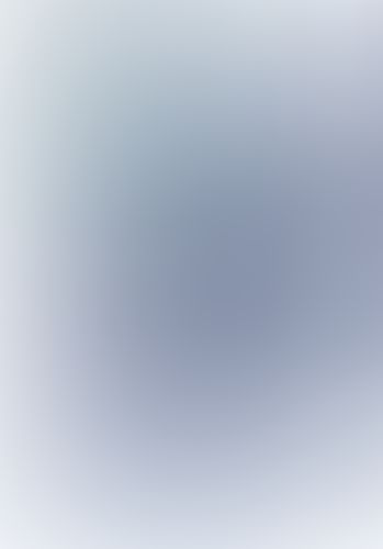 IS 〈インフィニット・ストラトス〉 (10)