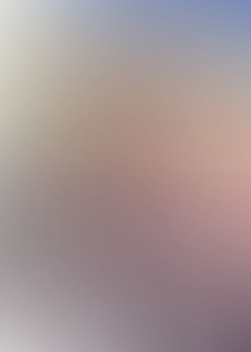 星刻の竜騎士 XX