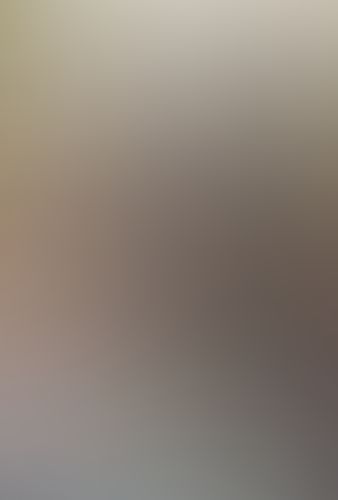 蜘蛛ですが、なにか? (1)
