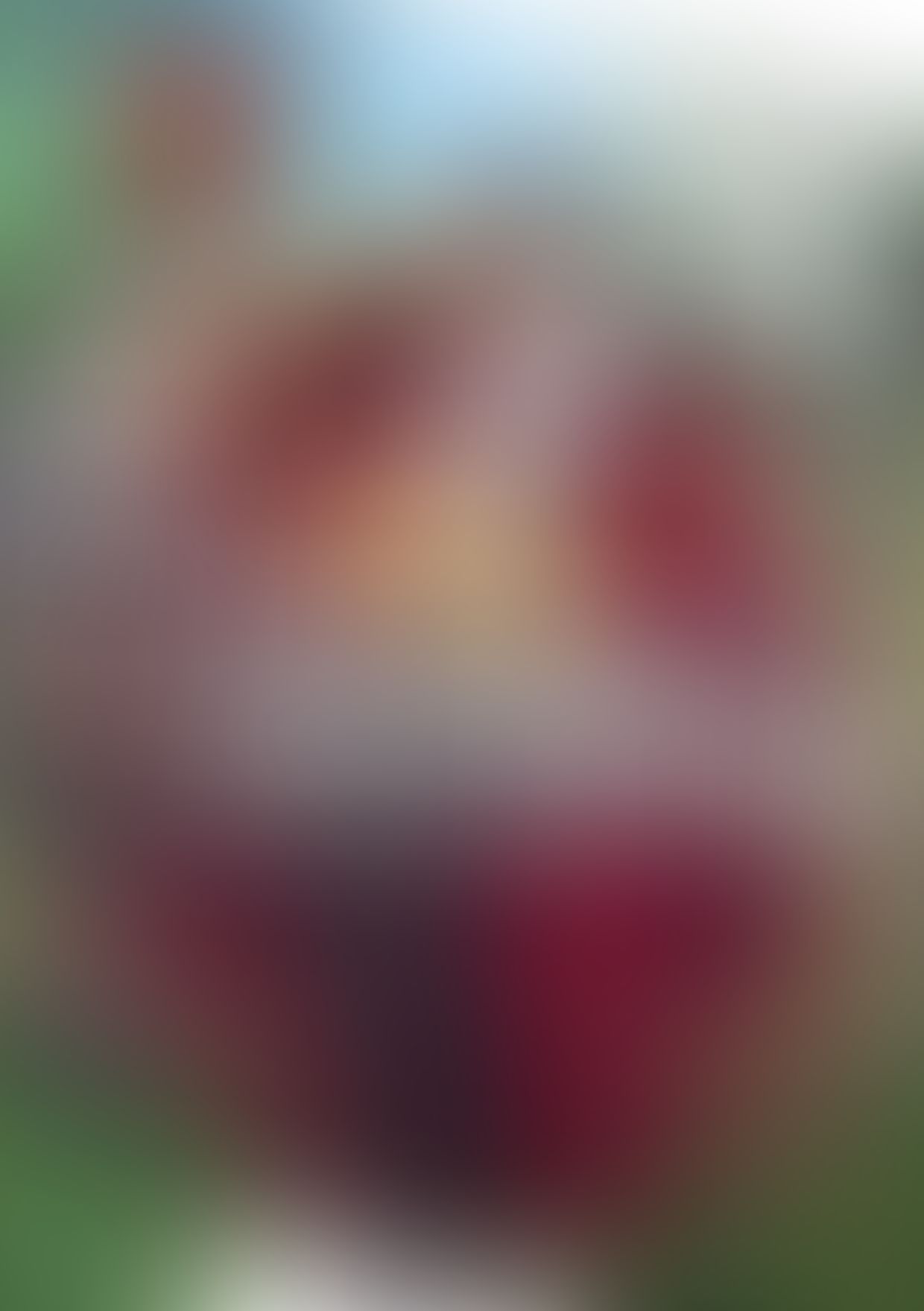 Re:ゼロから始める異世界生活 (26)