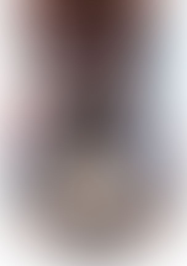 ダンタリアンの書架