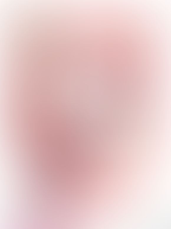 緋弾のアリア XVII 緋弾の叙唱