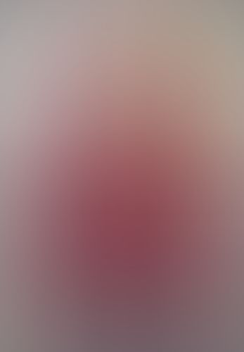 とらドラ! 〈10〉