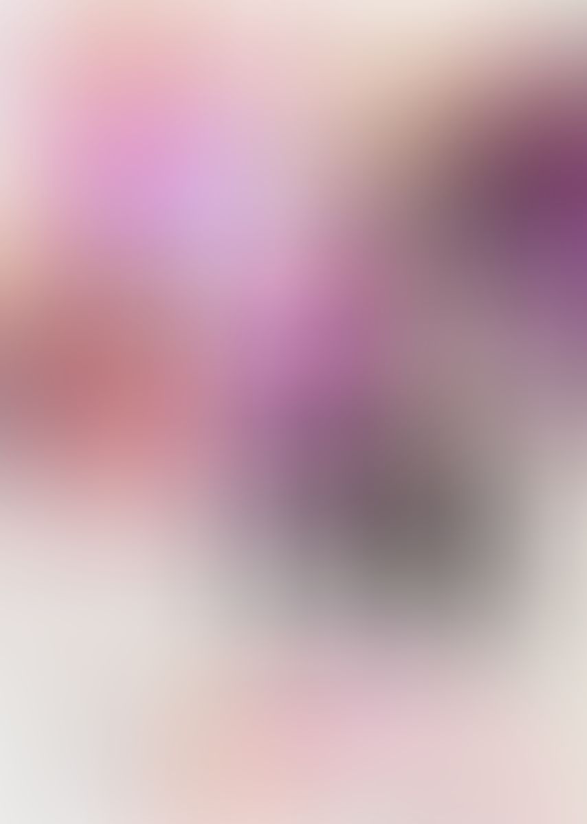 巴里マカロンの謎
