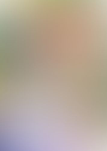 ゼロの使い魔 (12) 妖精達の休日