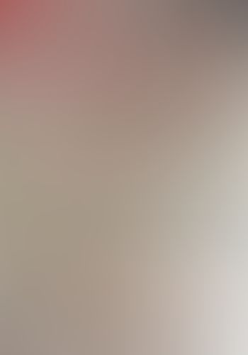 バッカーノ!  〈21〉1935-C The Grateful Bet