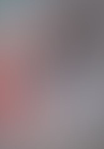 マルドゥック・スクランブル―The Second Combustion 燃焼