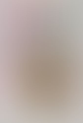 痛いのは嫌なので防御力に極振りしたいと思います。 (6)
