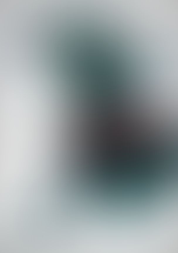 薔薇のマリア Ver3 君在りし日の夢はつかの間に