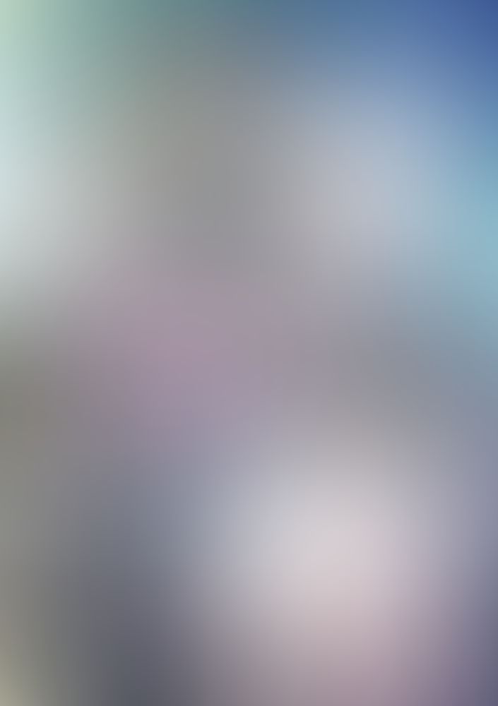 公女殿下の家庭教師 (8) 再臨の流星と東都決着