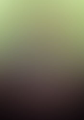 バッカーノ!  〈15〉1710 Crack Flag