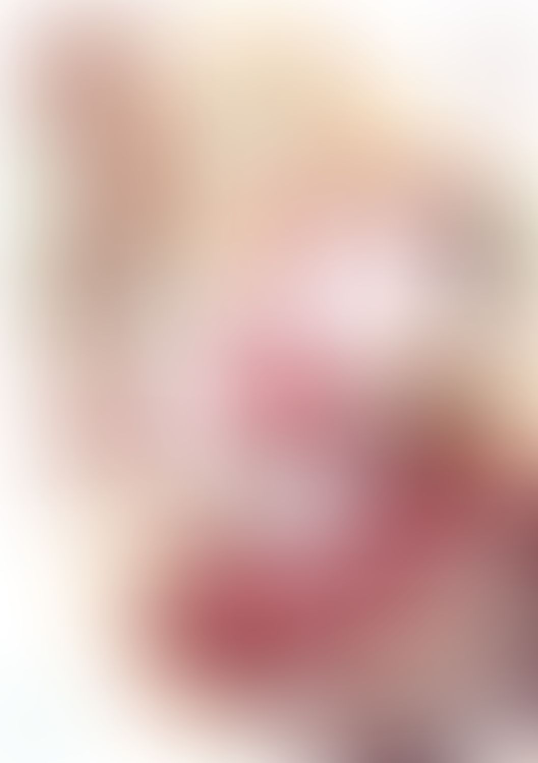 緋弾のアリア XLII ゼロの帰隊