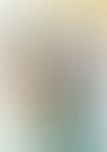 織田信奈の野望 全国版 (11)