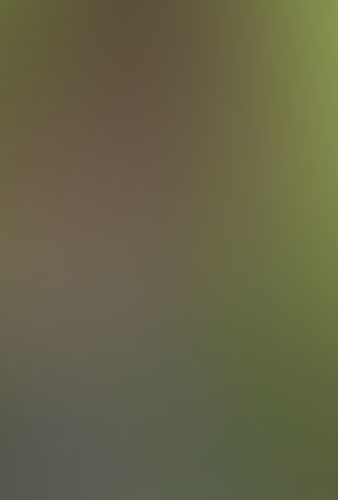 マルドゥック・アノニマス (03)