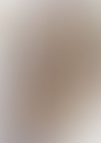 織田信奈の野望 全国版 (13)