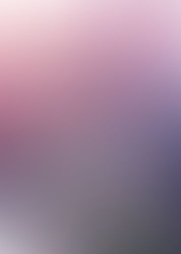 ゼロの使い魔 (11) 追憶の二重奏