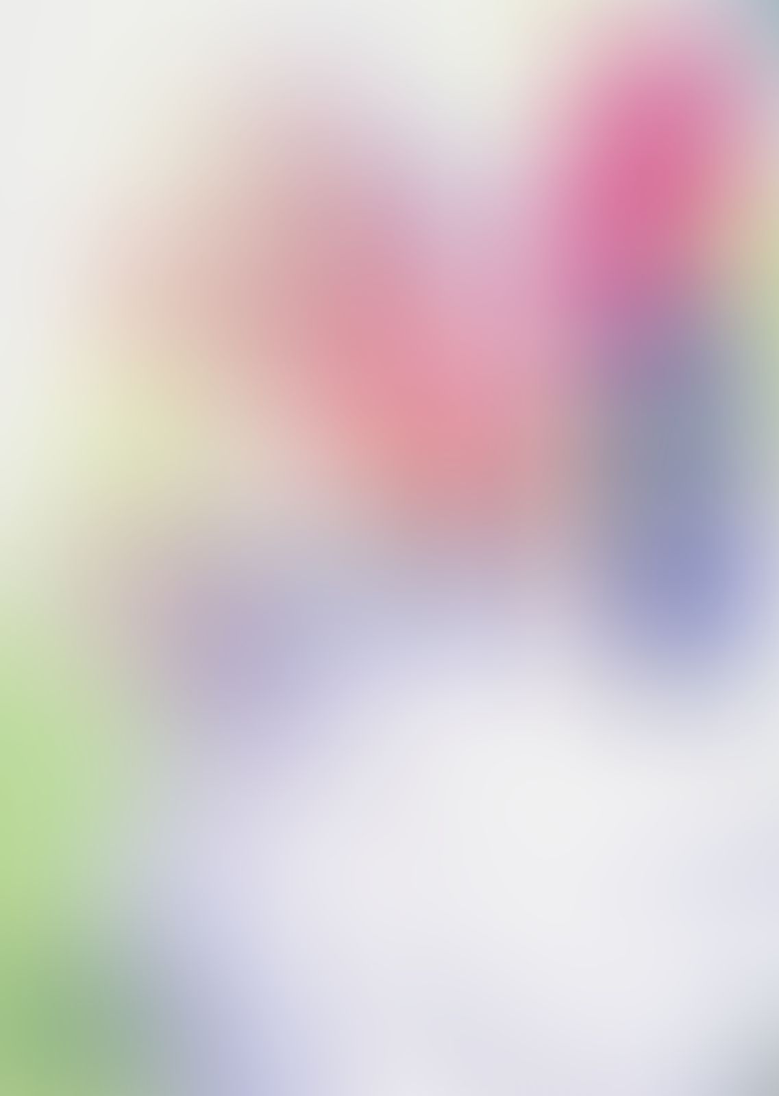 ゼロの使い魔 (07) 銀の降臨祭