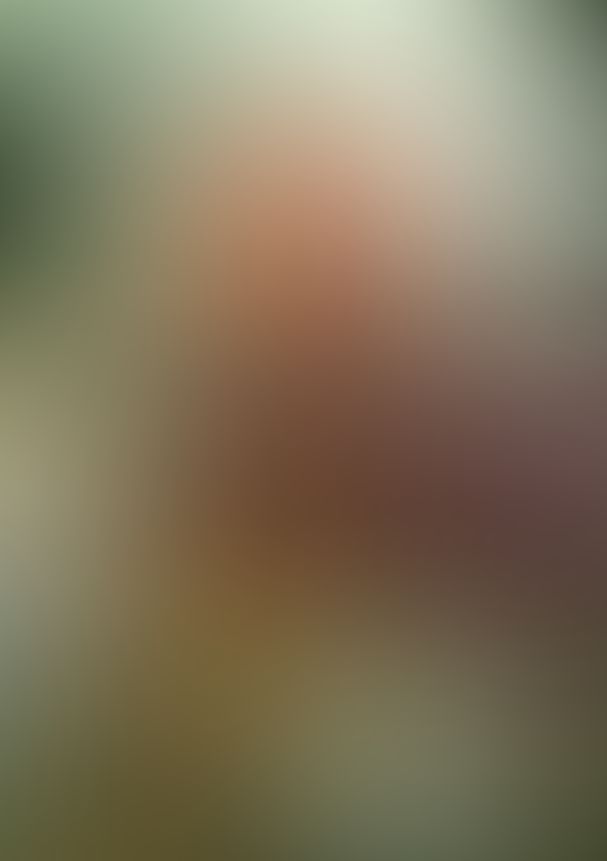 薔薇のマリア 18.光の中できみが笑う今は遠くて