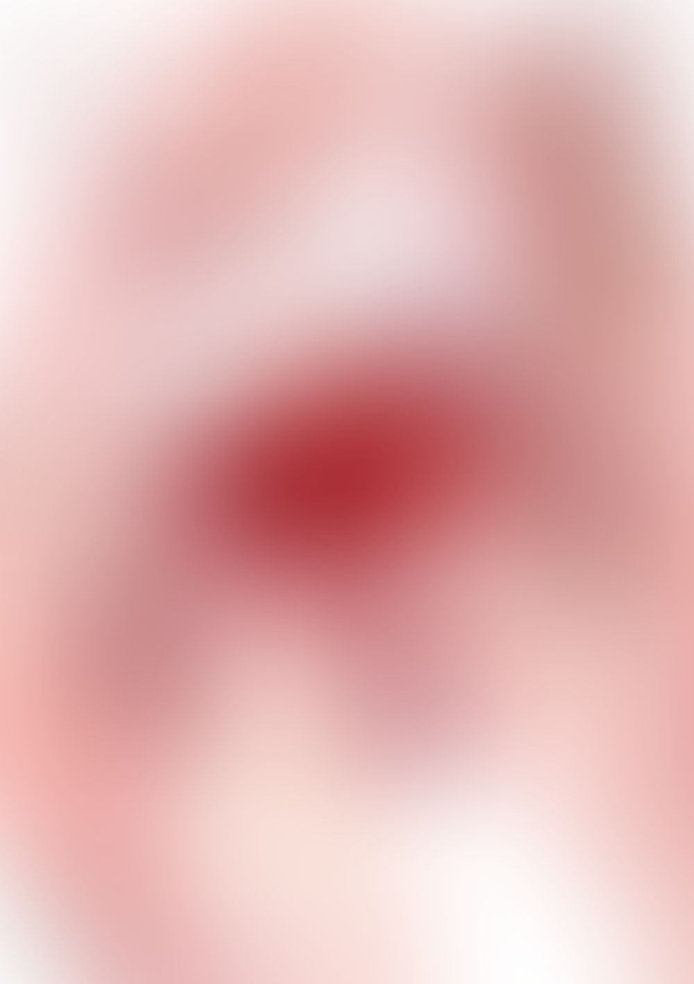緋弾のアリア XXIX 盟約の諜侯