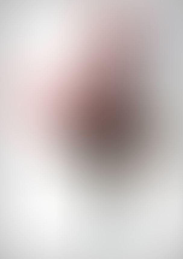 薔薇のマリア Ver0 僕の蹉跌と再生の日々