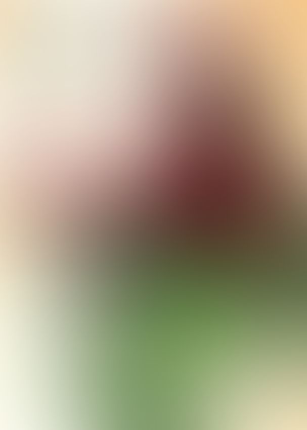 薔薇のマリア IV.LOVE'N'KILL