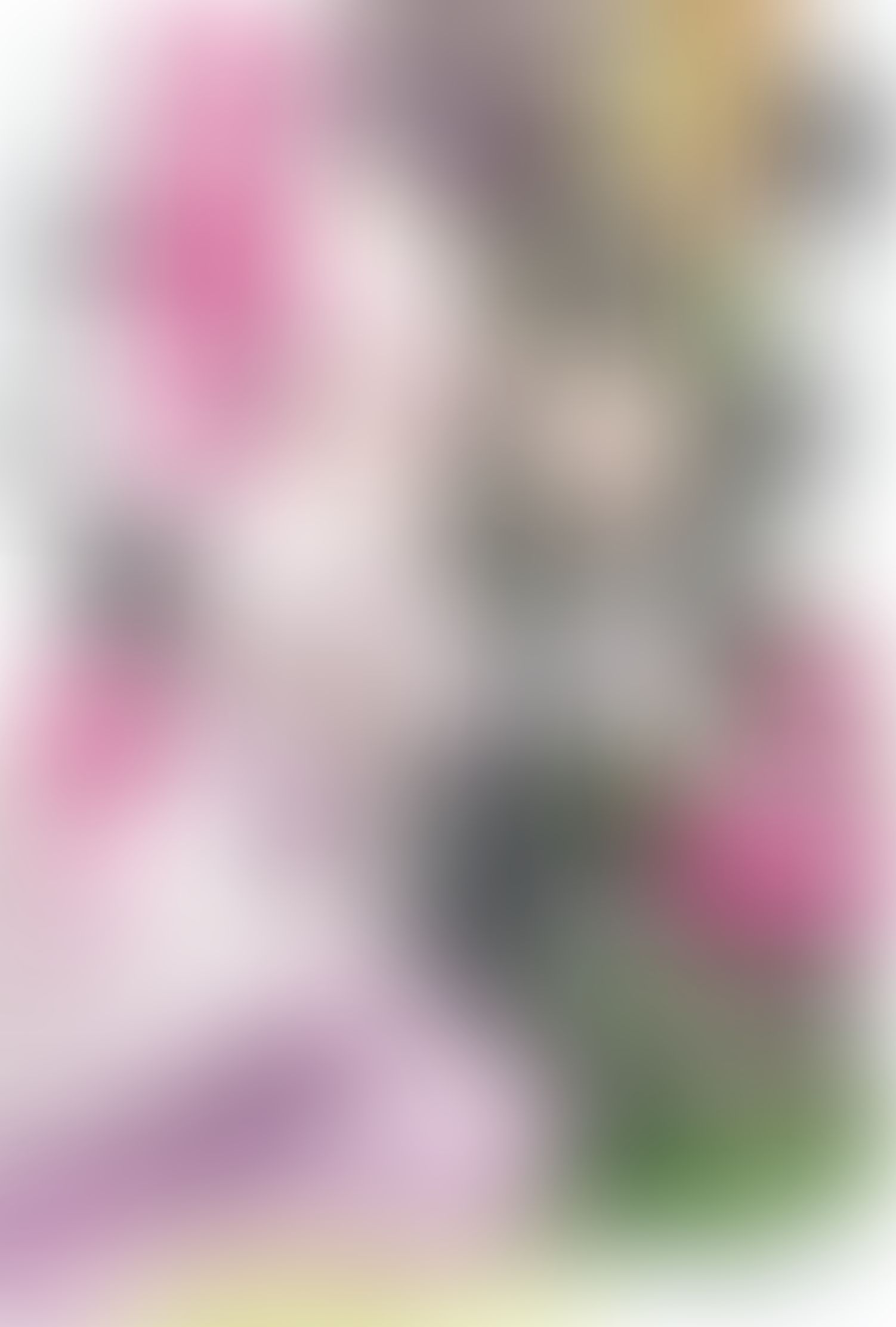 痛いのは嫌なので防御力に極振りしたいと思います。 (4)