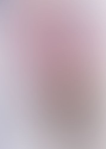 星刻の竜騎士 Ⅴ