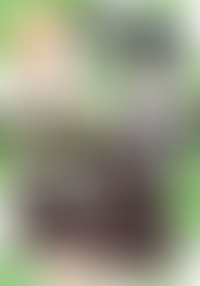 現実でラブコメできないとだれが決めた? (5)