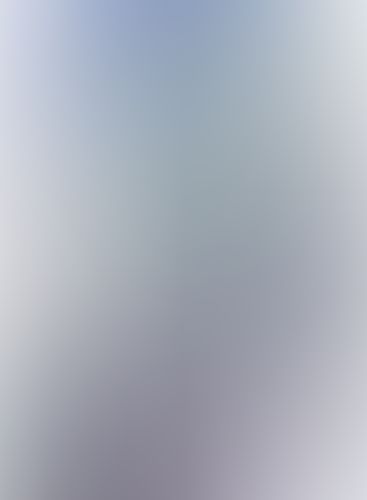 学戦都市アスタリスク (10) 龍激聖覇