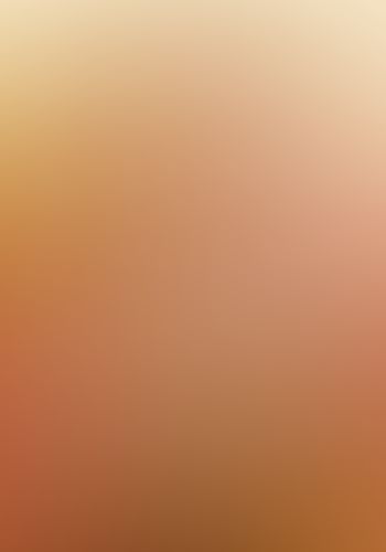 狼と香辛料 (13) Side colors 3